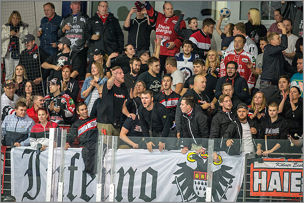 Testspiel Koelner Haie - Adler Mannheim, 09.09.2018
